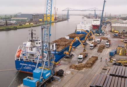 Roundwood timber being unloaded from a vessel