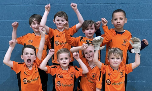 Sponsorship of High Halden Hornets u7s