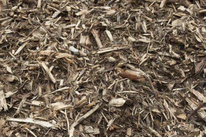Arboriculture and Forestry Residues